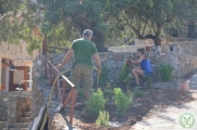 Greckie lato w regionie oliwek 23
